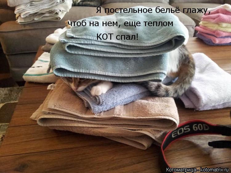 Котоматрица: Я постельное бельё глажу,  чтоб на нем, еще теплом КОТ спал!