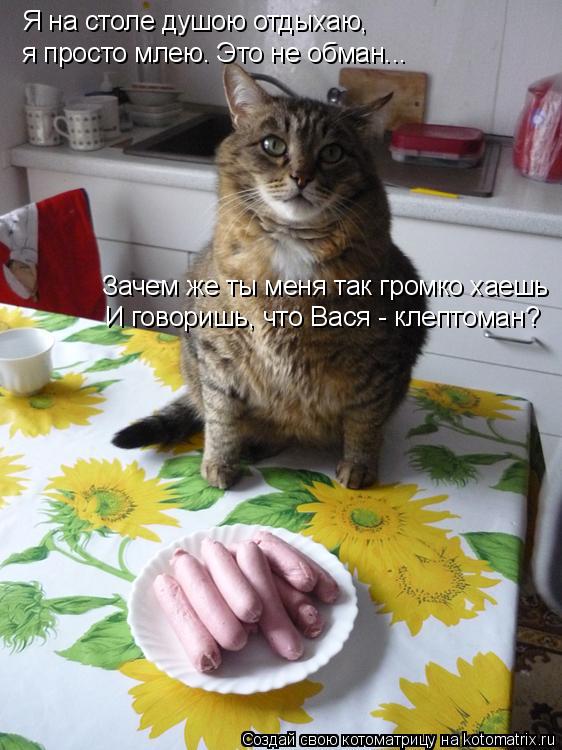 Котоматрица: Я на столе душою отдыхаю,  я просто млею. Это не обман... Зачем же ты меня так громко хаешь  И говоришь, что Вася - клептоман?