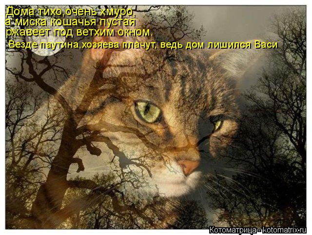 Котоматрица: Дома тихо,очень хмуро, а миска кошачья пустая ржавеет под ветхим окном . Везде паутина,хозяева плачут, ведь дом лишился Васи