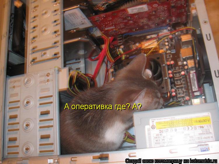 Котоматрица: А оперативка где? А?