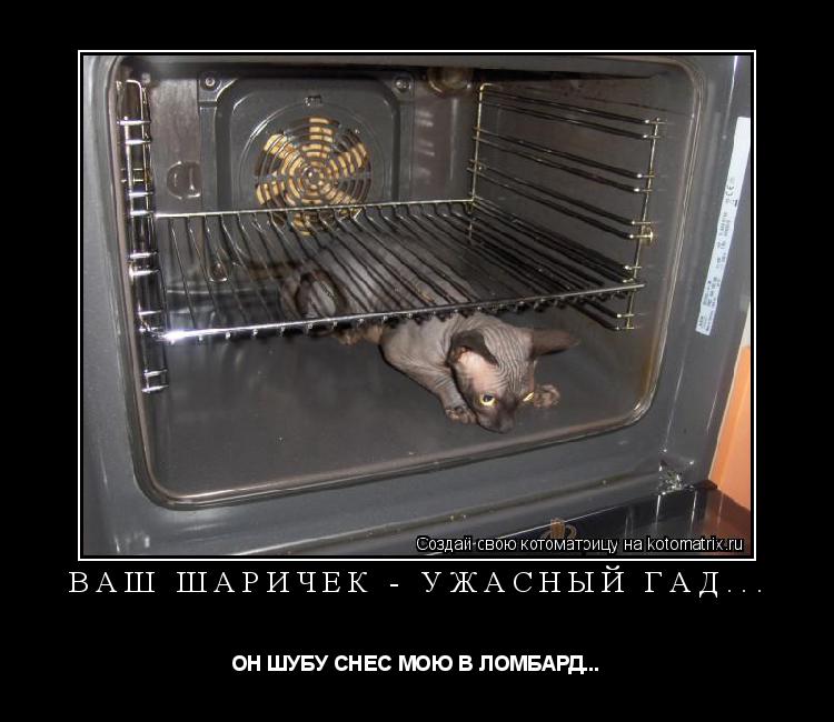 Котоматрица: ВАШ ШАРИЧЕК - УЖАСНЫЙ ГАД... ОН ШУБУ СНЕС МОЮ В ЛОМБАРД...