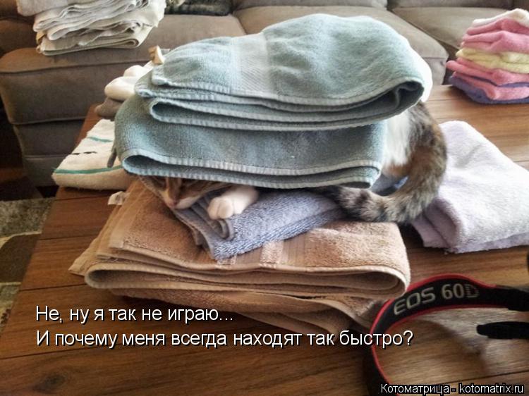 Котоматрица: Не, ну я так не играю... И почему меня всегда находят так быстро?