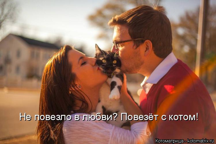 Котоматрица: Не повезло в любви? Повезёт с котом!