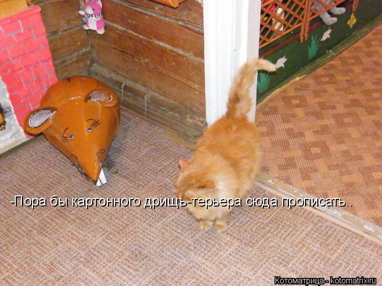 Котоматрица: -Пора бы картонного дрищъ-терьера сюда прописать..