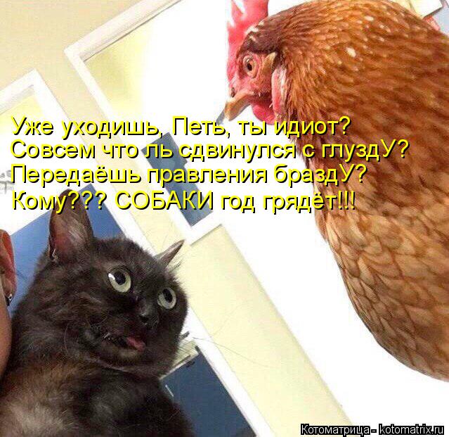 Котоматрица: Уже уходишь, Петь, ты идиот? Совсем что ль сдвинулся с глуздУ? Передаёшь правления браздУ? Кому??? СОБАКИ год грядёт!!!