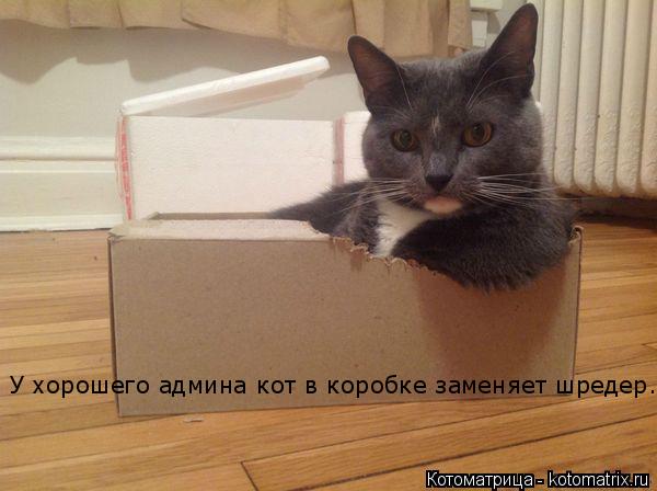Котоматрица: У хорошего админа кот в коробке заменяет шредер.