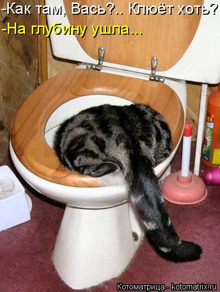 -Как там, Вась?.. Клюёт хоть? -На глубину ушла...... Котоматрица: -Как там, Вась?.. Клюёт хоть? -На глубину ушла...