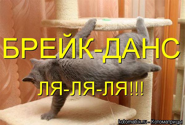 Котоматрица: БРЕЙК-ДАНС ЛЯ-ЛЯ-ЛЯ!!!