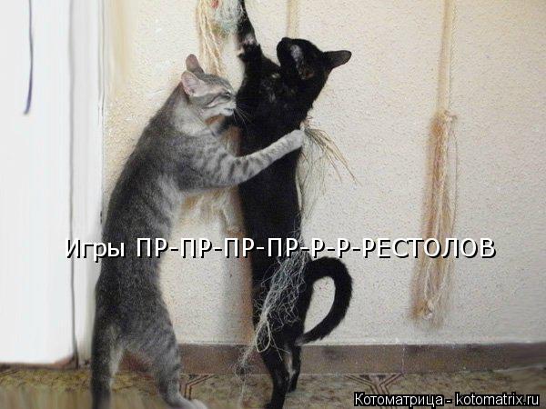 Котоматрица: Игры ПР-ПР-ПР-ПР-Р-Р-РЕСТОЛОВ