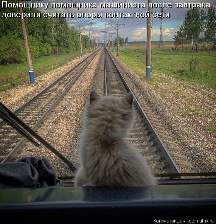 Помощнику помощника машиниста после завтрака доверили считать опоры контактной сети... Котоматрица: Помощнику помощника машиниста после завтрака доверили считать опоры контактной сети