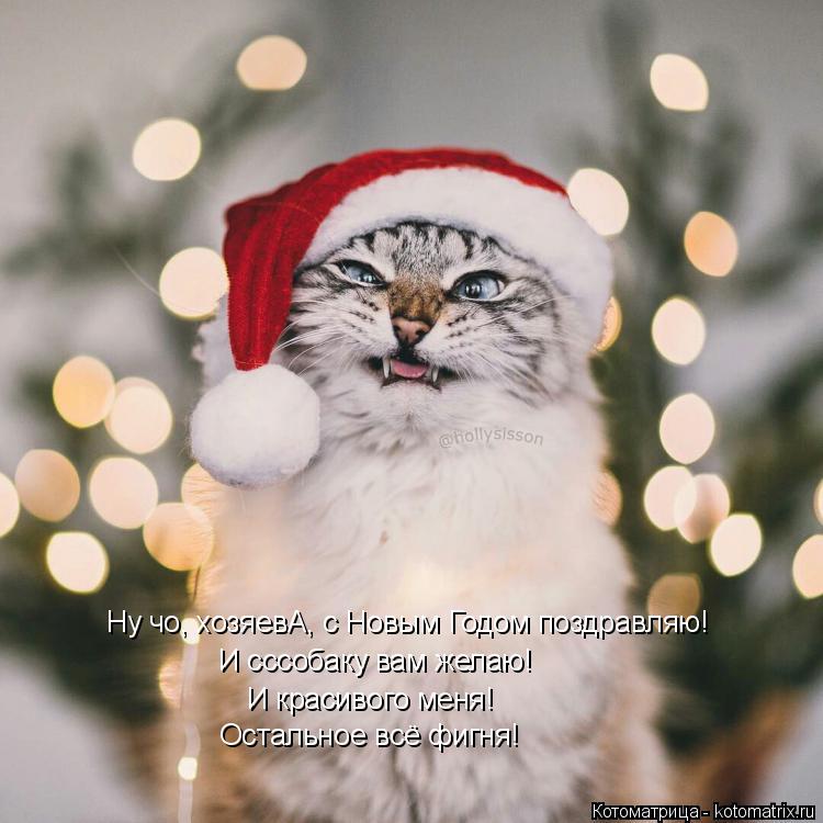 И сссобаку вам желаю! Ну чо, хозяевА, с Новым Годом поздравляю! И красивого меня! Остальное всё фигня... Котоматрица: И сссобаку вам желаю! Ну чо, хозяевА, с Новым Годом поздравляю! И красивого меня! Остальное всё фигня!