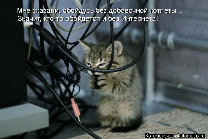 Котоматрица: Мне сказали, обойдусь без добавочной котлеты... Значит, кто-то обойдется и без Интернета!