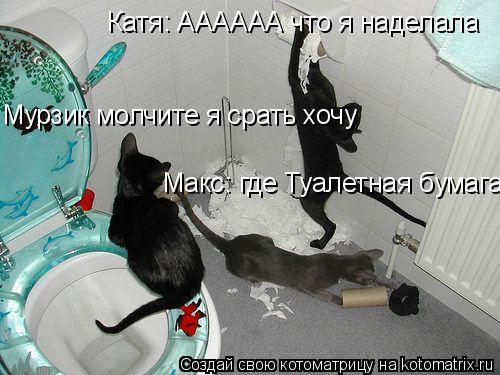 Катя: АААААА что я наделала Макс: где Туалетная бумага Мурзик молчите я срать хочу... Котоматрица: Катя: АААААА что я наделала Макс: где Туалетная бумага Мурзик молчите я срать хочу