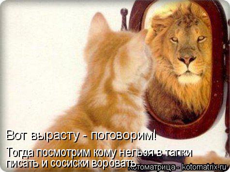 Котоматрица: Вот вырасту - поговорим! Тогда посмотрим кому нельзя в тапки   писать и сосиски воровать