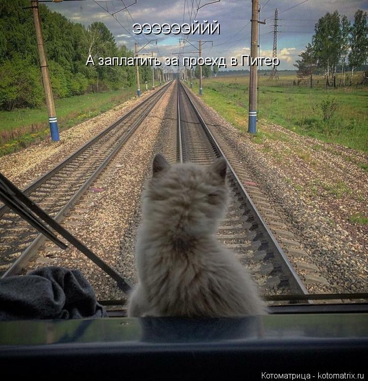 Котоматрица: ЭЭЭЭЭЭЙЙЙ А заплатить за проехд в Питер
