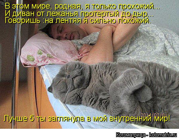 Котоматрица: В этом мире, родная, я только прохожий... Говоришь :на лентяя я сильно похожий. Лучше б ты заглянула в мой внутренний мир! И диван от лежанья пр