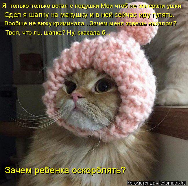 Котоматрица: Я  только-только встал с подушки.Мои чтоб не замерзли ушки,  Одел я шапку на макушку и в ней сейчас иду гулять. Твоя, что ль, шапка? Ну, сказала 