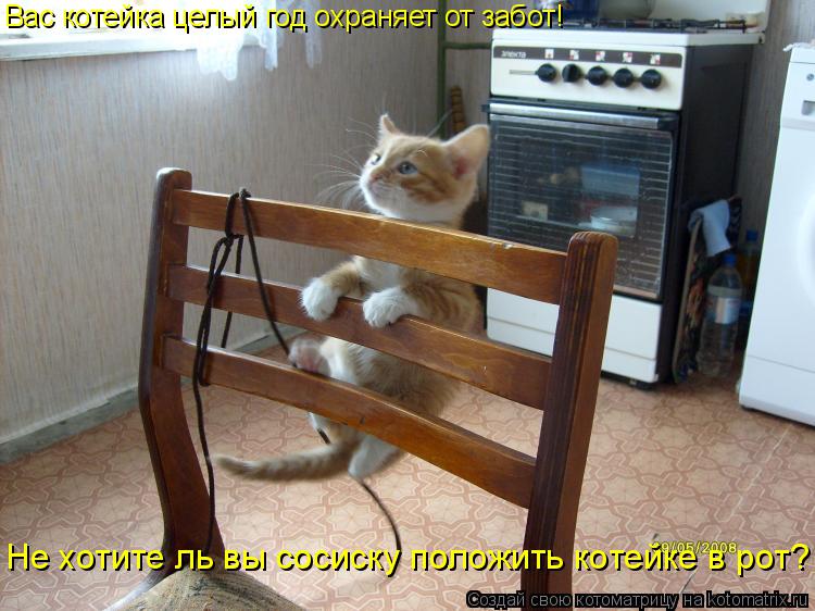 Котоматрица: Вас котейка целый год охраняет от забот! Не хотите ль вы сосиску положить котейке в рот?