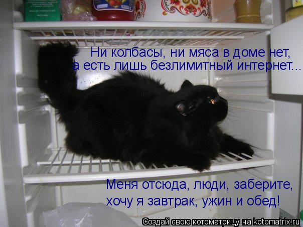 Котоматрица: Ни колбасы, ни мяса в доме нет,  а есть лишь безлимитный интернет... Меня отсюда, люди, заберите,  хочу я завтрак, ужин и обед!