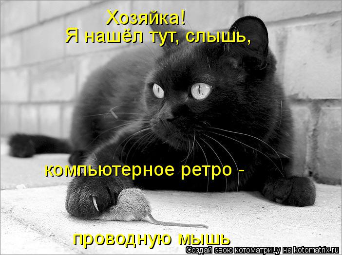 Хозяйка! Я нашёл тут, слышь, проводную мышь компьютерное ретро -... Котоматрица: Хозяйка! Я нашёл тут, слышь, проводную мышь компьютерное ретро -