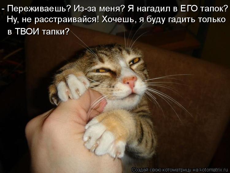 - Переживаешь? Из-за меня? Я нагадил в ЕГО тапок? Ну, не расстраивайся! Хочешь, я буду гадить только ... Котоматрица: - Переживаешь? Из-за меня? Я нагадил в ЕГО тапок? Ну, не расстраивайся! Хочешь, я буду гадить только в ТВОИ тапки?
