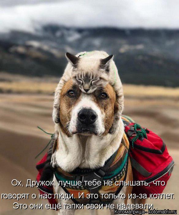 Ох, Дружок, лучше тебе не слышать, что говорят о нас люди. И это только из-за котлет. Это они ещё т... Котоматрица: Ох, Дружок, лучше тебе не слышать, что говорят о нас люди. И это только из-за котлет. Это они ещё тапки свои не надевали..