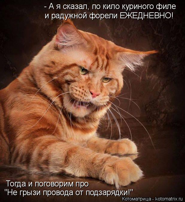 - А я сказал, по кило куриного филе и радужной форели ЕЖЕДНЕВНО! Тогда и поговорим про "Не грызи про... Котоматрица: - А я сказал, по кило куриного филе и радужной форели ЕЖЕДНЕВНО! Тогда и поговорим про "Не грызи провода от подзарядки!"