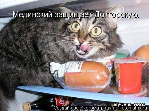 Мединский защищает Докторскую.... Котоматрица: Мединский защищает Докторскую.