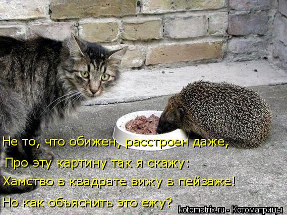 Но как объяснить это ежу? Про эту картину так я скажу: Не то, что обижен, расстроен даже, Хамство в к... Котоматрица: Но как объяснить это ежу? Про эту картину так я скажу: Не то, что обижен, расстроен даже, Хамство в квадрате вижу в пейзаже!