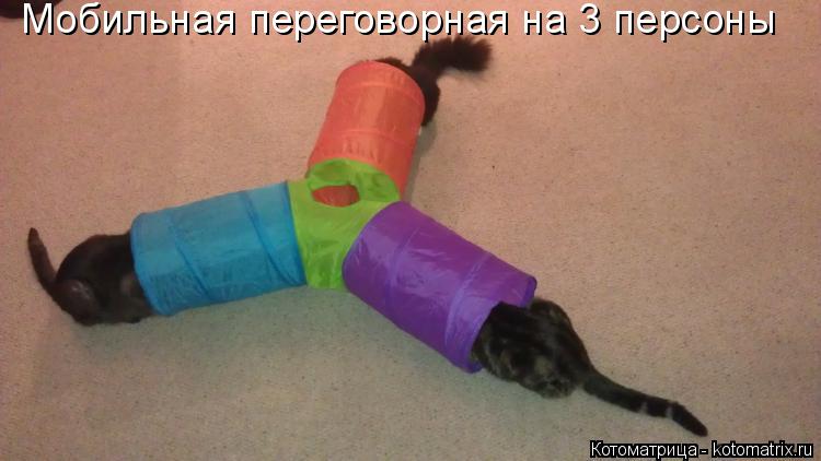 Мобильная переговорная на 3 персоны... Котоматрица: Мобильная переговорная на 3 персоны