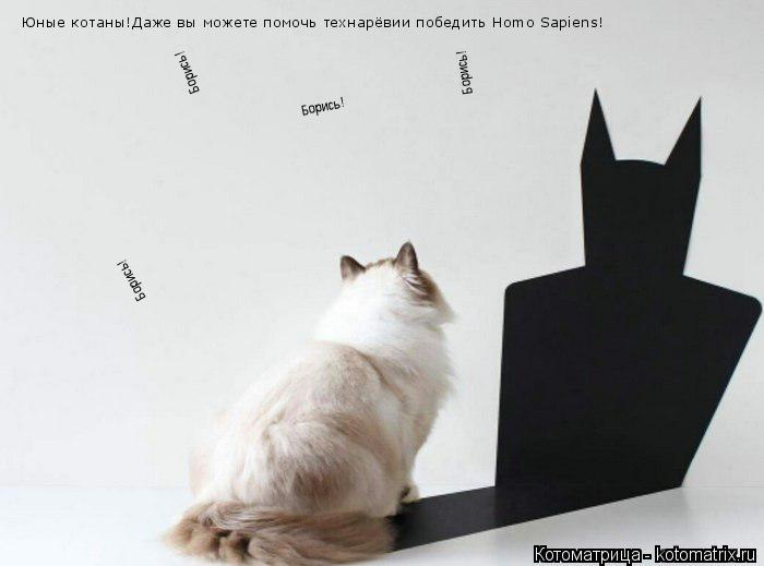 Юные котаны!Даже вы можете помочь технарёвии победить Homo Sapiens! Борись! Борись! Борись! Борись!... Котоматрица: Юные котаны!Даже вы можете помочь технарёвии победить Homo Sapiens! Борись! Борись! Борись! Борись!