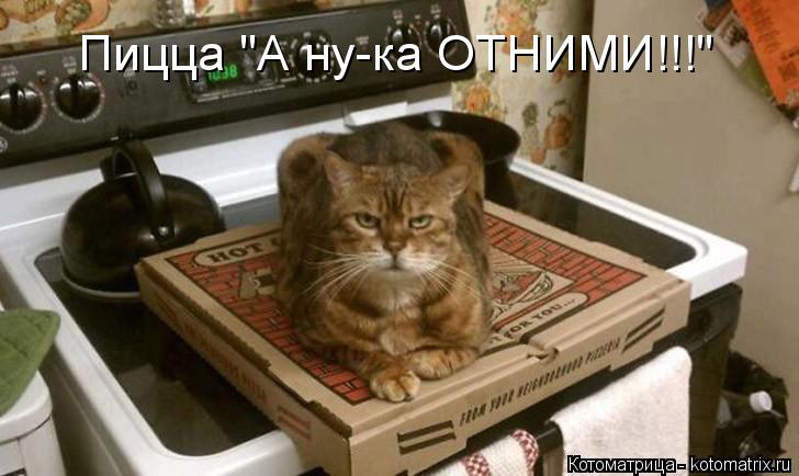Пицца "А ну-ка ОТНИМИ!!!"... Котоматрица: Пицца "А ну-ка ОТНИМИ!!!"