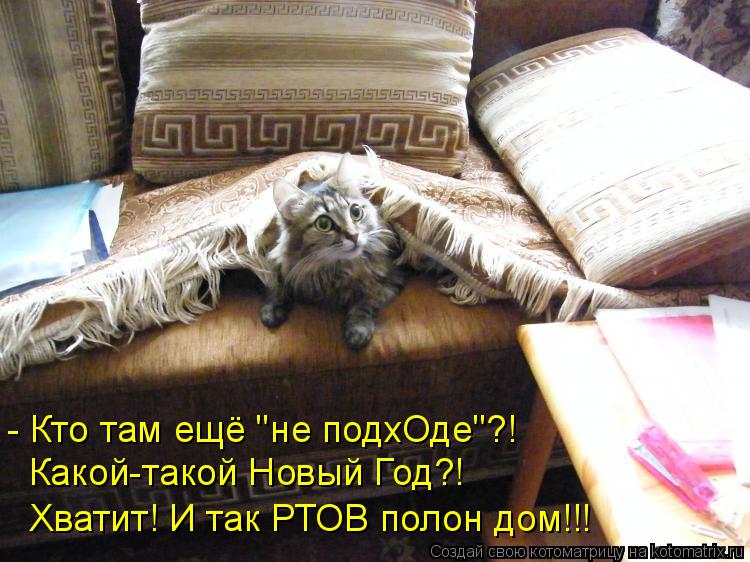 - Кто там ещё "не подхОде"?! Какой-такой Новый Год?! Хватит! И так РТОВ полон дом!!!... Котоматрица: - Кто там ещё "не подхОде"?! Какой-такой Новый Год?! Хватит! И так РТОВ полон дом!!!