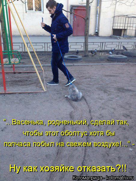 "...Васенька, родненький, сделай так, чтобы этот оболтус хотя бы полчаса побыл на свежем воздухе!..."... Котоматрица: "...Васенька, родненький, сделай так, чтобы этот оболтус хотя бы полчаса побыл на свежем воздухе!..." - Ну как хозяйке отказать?!!