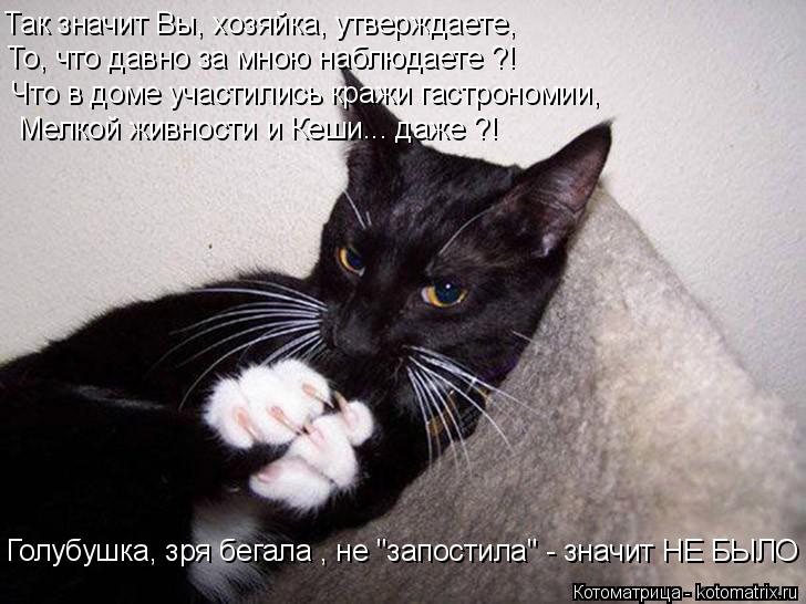 Так значит Вы, хозяйка, утверждаете, То, что давно за мною наблюдаете ?! Что в доме участились кражи ... Котоматрица: Так значит Вы, хозяйка, утверждаете, То, что давно за мною наблюдаете ?! Что в доме участились кражи гастрономии, Мелкой живности и Кеши... даж?