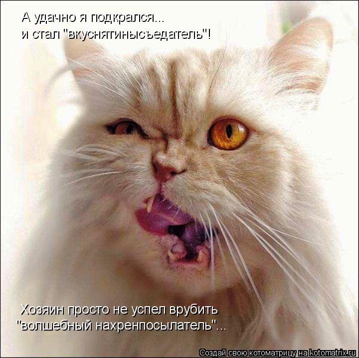 А удачно я подкрался... и стал "вкуснятинысъедатель"! Хозяин просто не успел врубить "волшебный нахре... Котоматрица: А удачно я подкрался... и стал "вкуснятинысъедатель"! Хозяин просто не успел врубить "волшебный нахренпосылатель"...