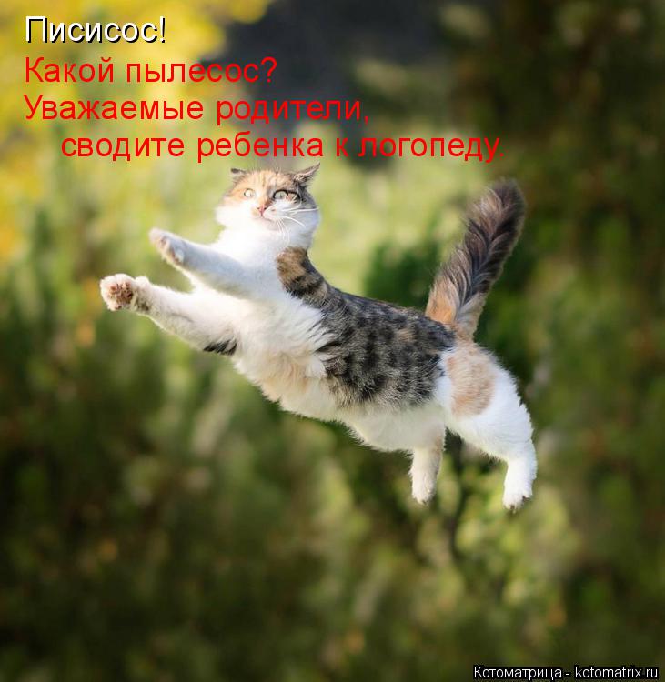 Писисос! Какой пылесос? Уважаемые родители, сводите ребенка к логопеду.... Котоматрица: Писисос! Какой пылесос? Уважаемые родители, сводите ребенка к логопеду.