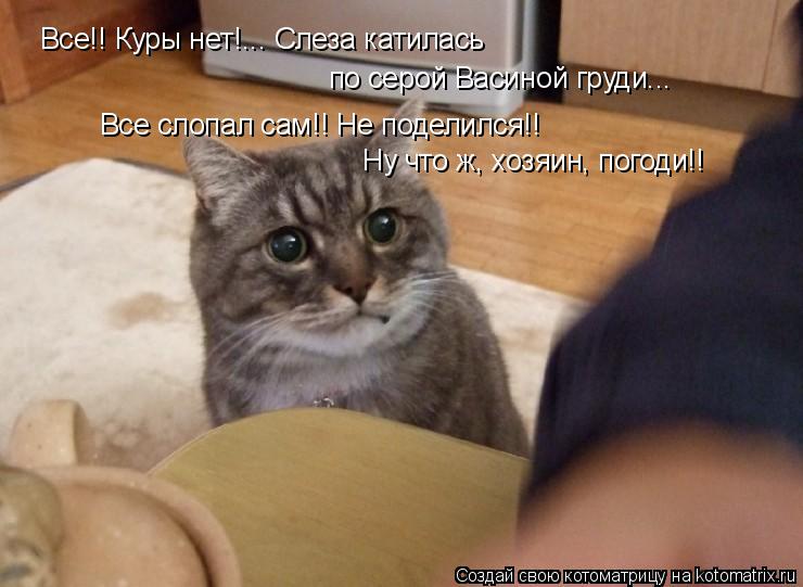 Все!! Куры нет!... Слеза катилась по серой Васиной груди... Все слопал сам!! Не поделился!! Ну что ж,... Котоматрица: Все!! Куры нет!... Слеза катилась по серой Васиной груди... Все слопал сам!! Не поделился!! Ну что ж, хозяин, погоди!!