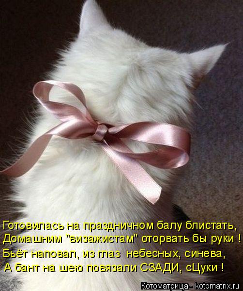 Готовилась на праздничном балу блистать, Домашним "визажистам" оторвать бы руки ! Бьёт наповал, из гл... Котоматрица: Готовилась на праздничном балу блистать, Домашним "визажистам" оторвать бы руки ! Бьёт наповал, из глаз небесных, синева, А бант на шею повяз