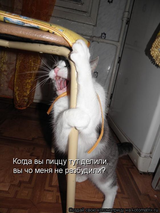 Когда вы пиццу тут делили, вы чо меня не разбудили?... Котоматрица: Когда вы пиццу тут делили, вы чо меня не разбудили?