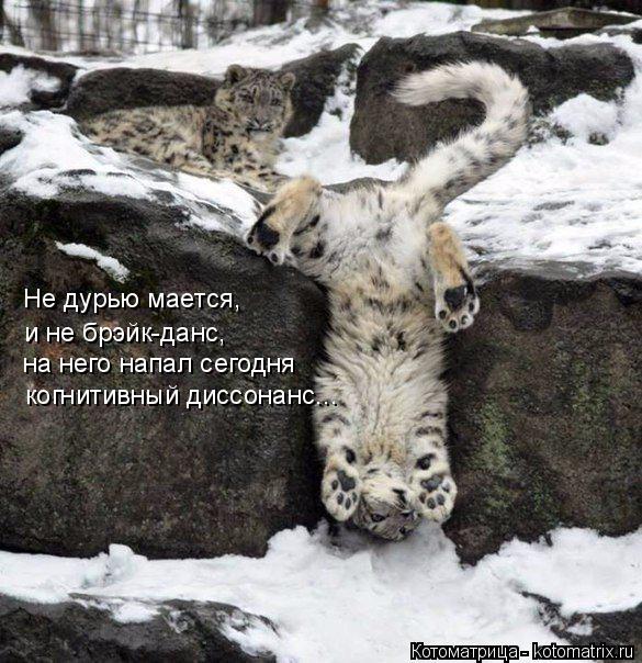 Не дурью мается, и не брэйк-данс, на него напал сегодня когнитивный диссонанс...... Котоматрица: Не дурью мается, и не брэйк-данс, на него напал сегодня когнитивный диссонанс...