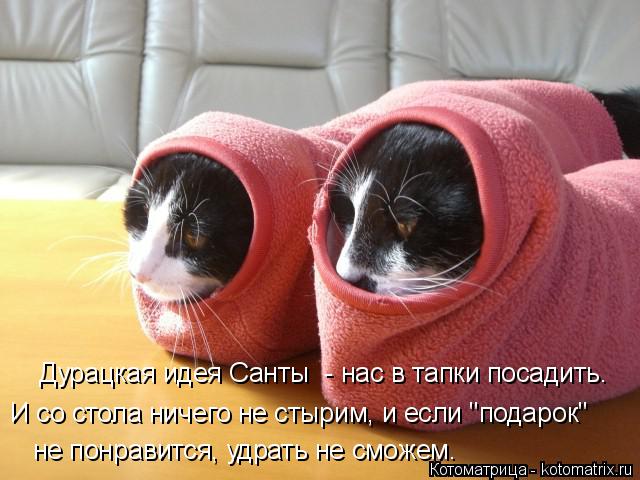 Дурацкая идея Санты - нас в тапки посадить. И со стола ничего не стырим, и если "подарок" не понрав... Котоматрица: Дурацкая идея Санты - нас в тапки посадить. И со стола ничего не стырим, и если "подарок" не понравится, удрать не сможем.