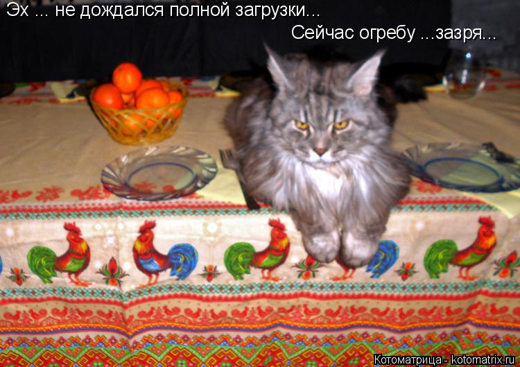Эх ... не дождлся полной загрузки... Эх ... не дождался полной загрузки... Сейчас огребу ...зазря...... Котоматрица: Эх ... не дождлся полной загрузки... Эх ... не дождался полной загрузки... Сейчас огребу ...зазря...