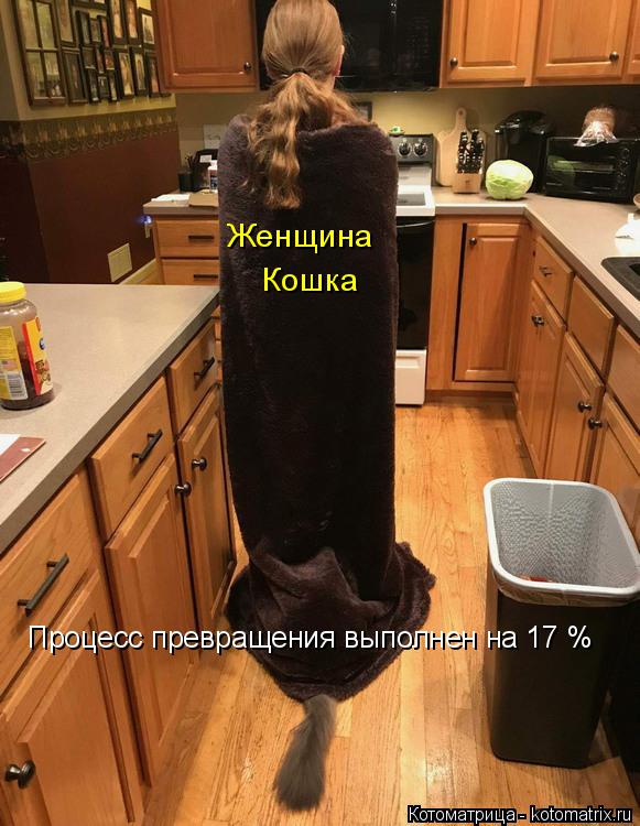 Женщина Кошка Процесс превращения выполнен на 17 %... Котоматрица: Женщина Кошка Процесс превращения выполнен на 17 %
