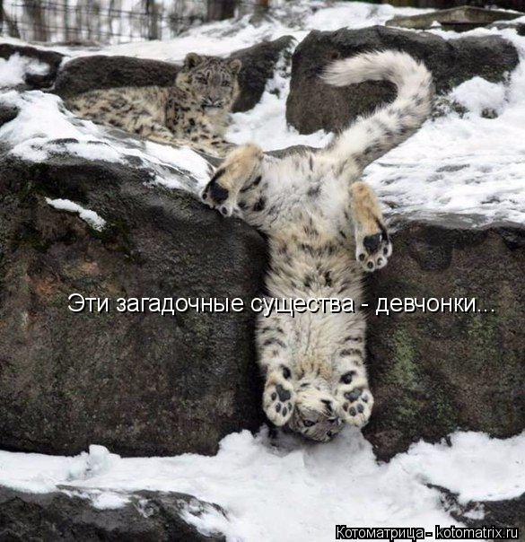 Котоматрица: Эти загадочные существа - девчонки...