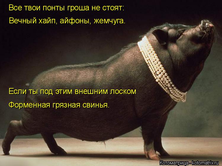Все твои понты гроша не стоят: Вечный хайп, айфоны, жемчуга. Если ты под этим внешним лоском Форменна... Котоматрица: Все твои понты гроша не стоят: Вечный хайп, айфоны, жемчуга. Если ты под этим внешним лоском Форменная грязная свинья.