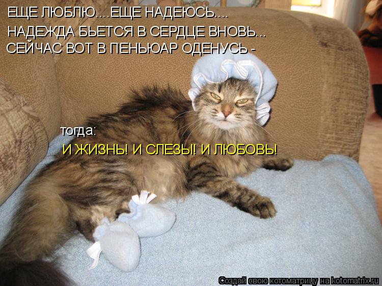 ЕЩЕ ЛЮБЛЮ....ЕЩЕ НАДЕЮСЬ.... НАДЕЖДА БЬЕТСЯ В СЕРДЦЕ ВНОВЬ... СЕЙЧАС ВОТ В ПЕНЬЮАР ОДЕНУСЬ - И ЖИЗНЬ... Котоматрица: ЕЩЕ ЛЮБЛЮ....ЕЩЕ НАДЕЮСЬ.... НАДЕЖДА БЬЕТСЯ В СЕРДЦЕ ВНОВЬ... СЕЙЧАС ВОТ В ПЕНЬЮАР ОДЕНУСЬ - И ЖИЗНЬ! И СЛЕЗЫ! И ЛЮБОВЬ! тогда: