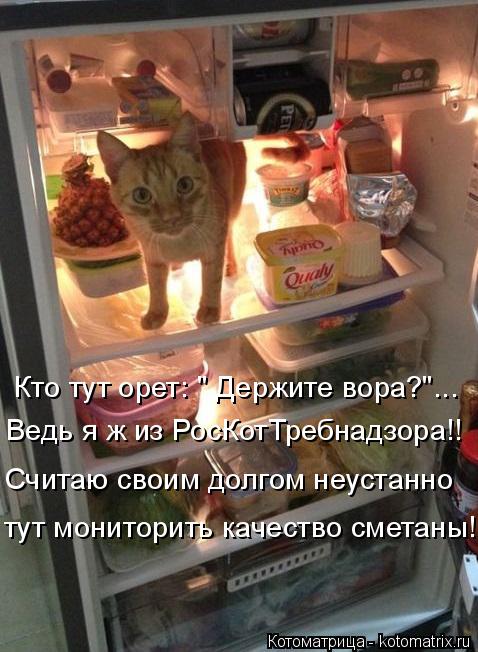 Кто тут орет: " Держите вора?"... Ведь я ж из РосКотТребнадзора!! Считаю своим долгом неустанно тут м... Котоматрица: Кто тут орет: " Держите вора?"... Ведь я ж из РосКотТребнадзора!! Считаю своим долгом неустанно тут мониторить качество сметаны!!