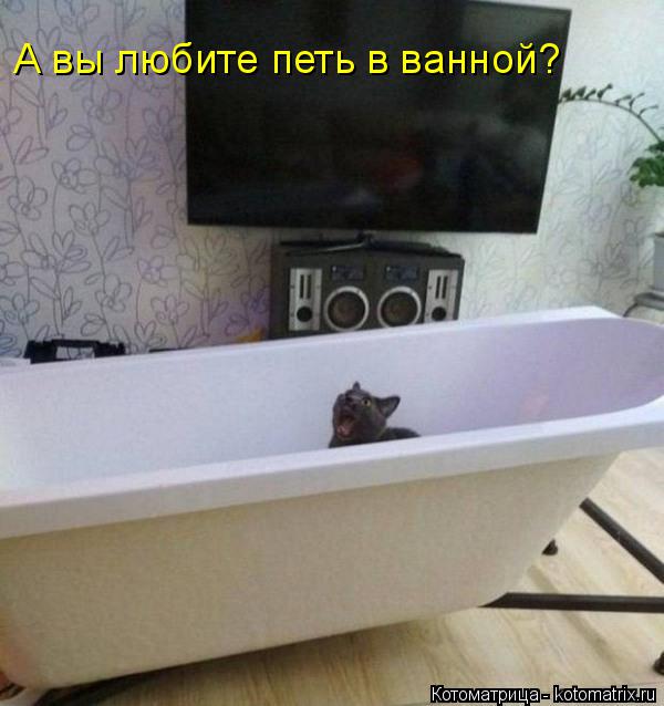 А вы любите петь в ванной?... Котоматрица: А вы любите петь в ванной?