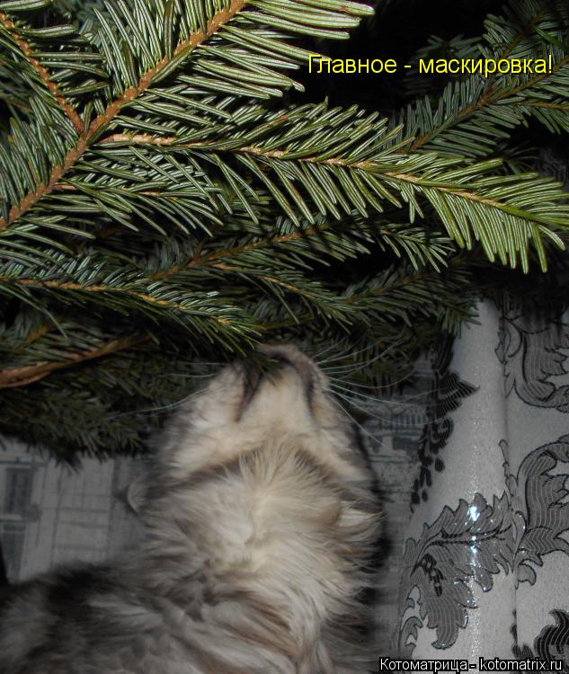Главное - маскировка!... Котоматрица: Главное - маскировка!